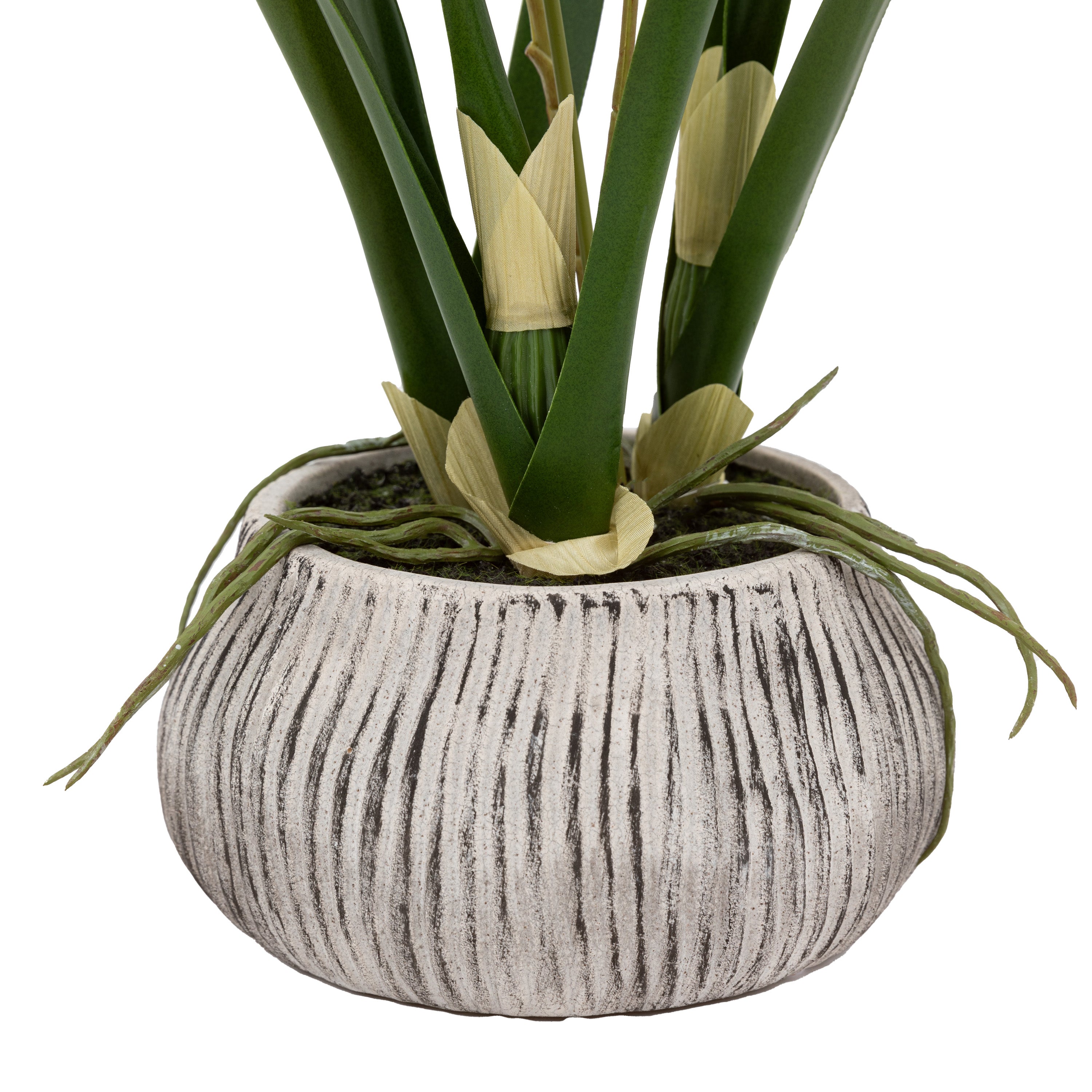 Artificial White Orchid in Low Ceramic Pot | Large